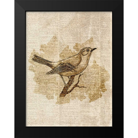 Vintage Bird II Black Modern Wood Framed Art Print by Studio, Sd Graphics