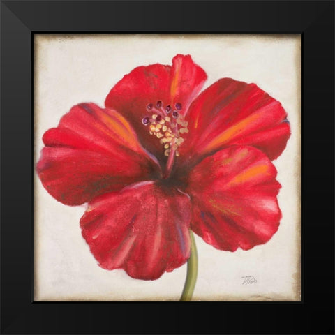 Red Hibiscus Black Modern Wood Framed Art Print by Pinto, Patricia