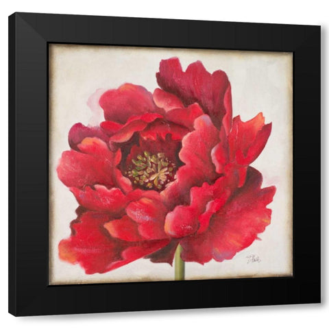 Red Peony Black Modern Wood Framed Art Print with Double Matting by Pinto, Patricia