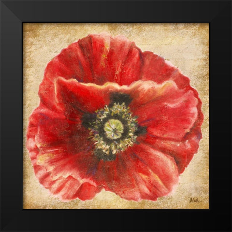 Red Poppy on Gold Black Modern Wood Framed Art Print by Pinto, Patricia