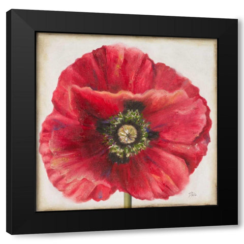 Red Poppy Black Modern Wood Framed Art Print by Pinto, Patricia