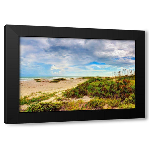 Beach Island II Black Modern Wood Framed Art Print by Bonnett, Stede