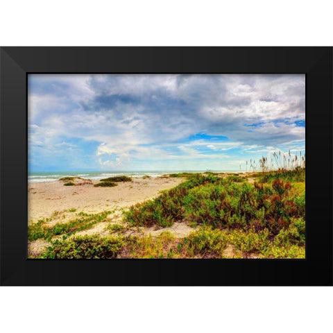 Beach Island II Black Modern Wood Framed Art Print by Bonnett, Stede