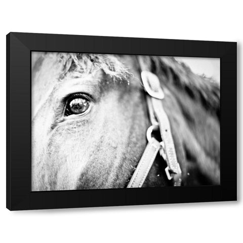 Horseback Riding I Black Modern Wood Framed Art Print with Double Matting by Bryant, Susan