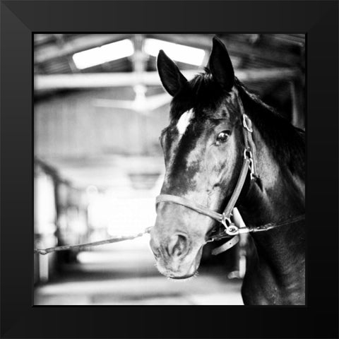 Derby Square I Black Modern Wood Framed Art Print by Bryant, Susan