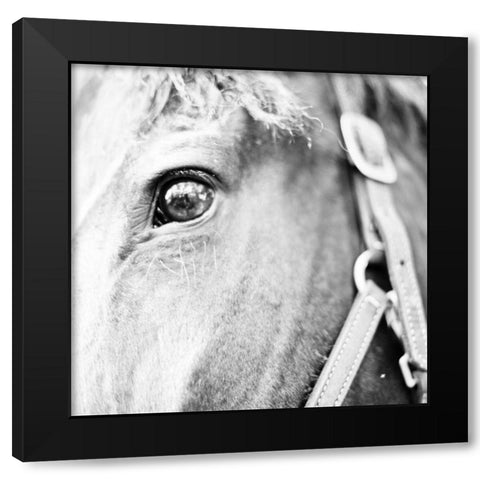 In the Stable I Black Modern Wood Framed Art Print by Bryant, Susan