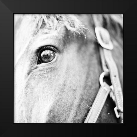 In the Stable I Black Modern Wood Framed Art Print by Bryant, Susan