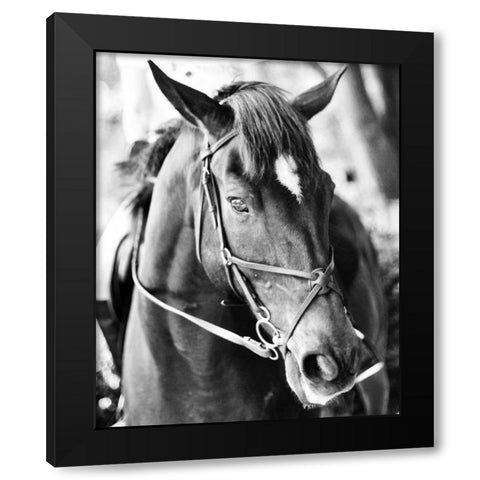 Derby I Black Modern Wood Framed Art Print with Double Matting by Bryant, Susan
