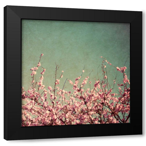Springtime I Black Modern Wood Framed Art Print by Bryant, Susan