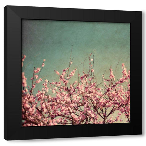 Springtime II Black Modern Wood Framed Art Print with Double Matting by Bryant, Susan