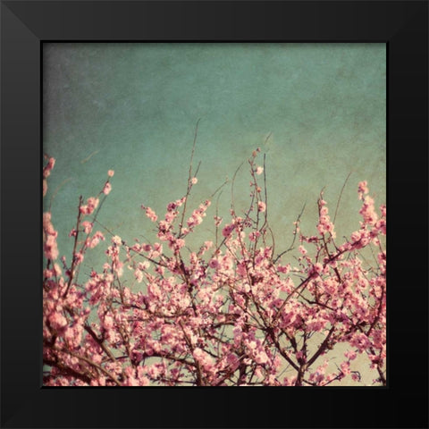 Springtime II Black Modern Wood Framed Art Print by Bryant, Susan