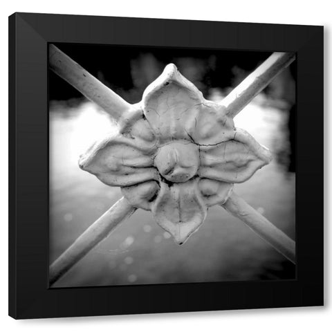 Over the Lake I Black Modern Wood Framed Art Print by Rodriguez, Jairo