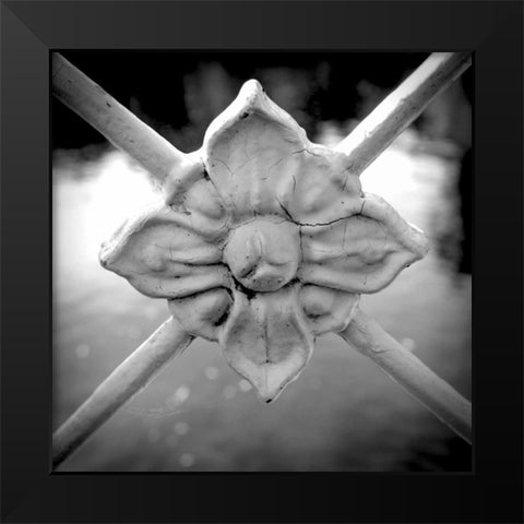 Over the Lake I Black Modern Wood Framed Art Print by Rodriguez, Jairo