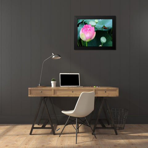 Purple Lotus II Black Modern Wood Framed Art Print by Rodriguez, Jairo
