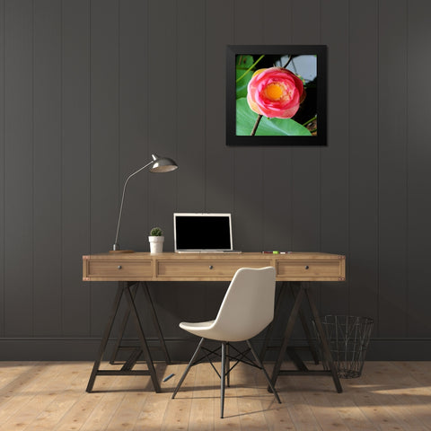 Red Lotus II Black Modern Wood Framed Art Print by Rodriguez, Jairo
