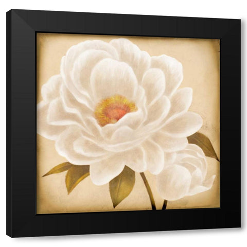 White Peonies I Black Modern Wood Framed Art Print by Rhyan, Vivien