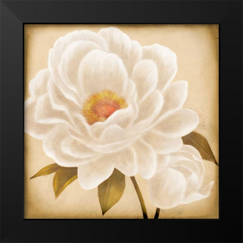 White Peonies I Black Modern Wood Framed Art Print by Rhyan, Vivien