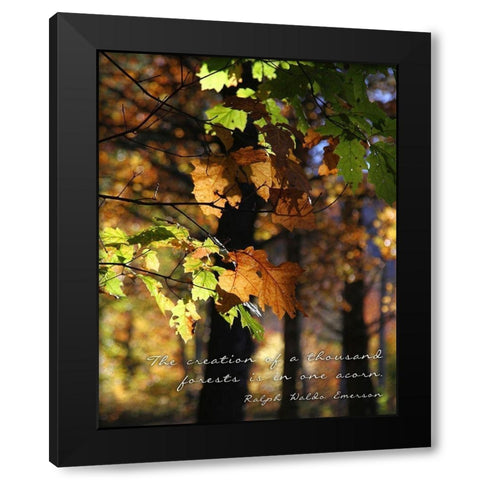 A Thousand Forests Black Modern Wood Framed Art Print with Double Matting by Mansfield, Kathy