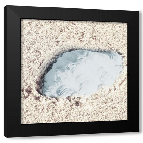 Blue Conch Black Modern Wood Framed Art Print with Double Matting by Mansfield, Kathy