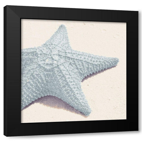 Blue Starfish Black Modern Wood Framed Art Print with Double Matting by Mansfield, Kathy