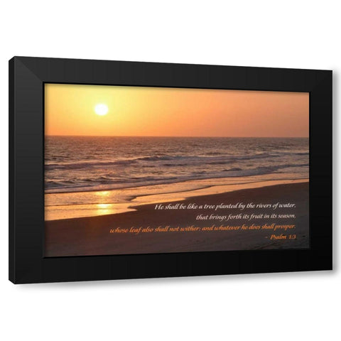 Sunrise II Black Modern Wood Framed Art Print with Double Matting by Mansfield, Kathy