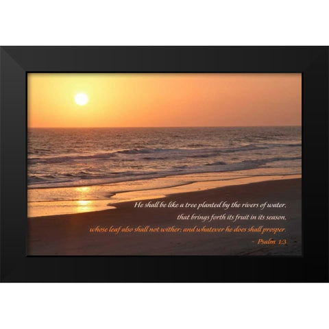 Sunrise II Black Modern Wood Framed Art Print by Mansfield, Kathy