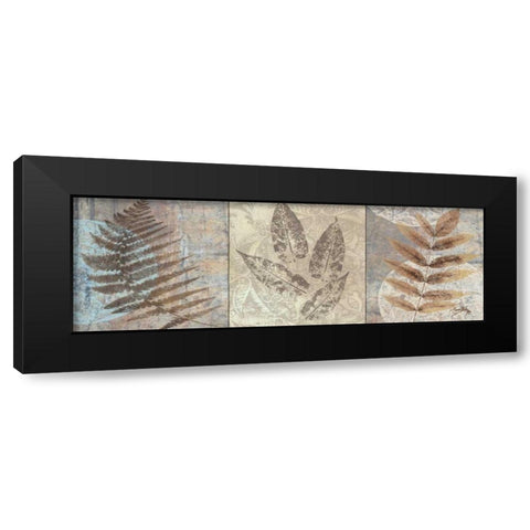 Leaves and Rosettes II Black Modern Wood Framed Art Print with Double Matting by Medley, Elizabeth