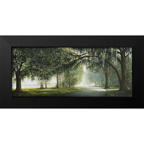 Lake Shore Drive Black Modern Wood Framed Art Print by Nawrocke, Bruce