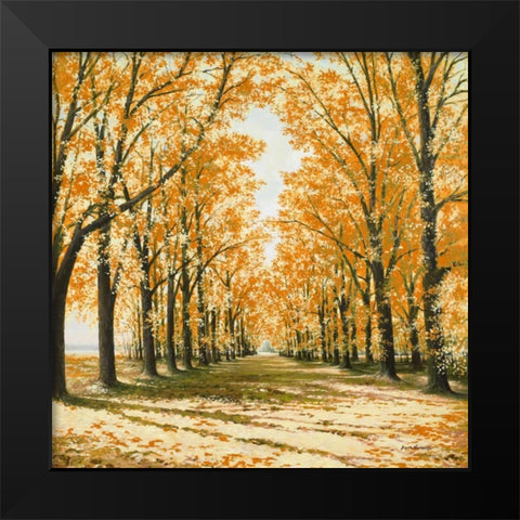 Falls Cathedral Black Modern Wood Framed Art Print by Nawrocke, Bruce