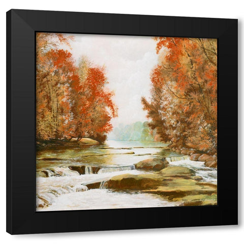 Autumn at Firemens Park Black Modern Wood Framed Art Print by Nawrocke, Bruce