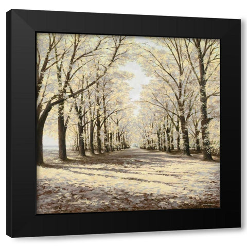 Falls Cathedral Black Modern Wood Framed Art Print with Double Matting by Nawrocke, Bruce