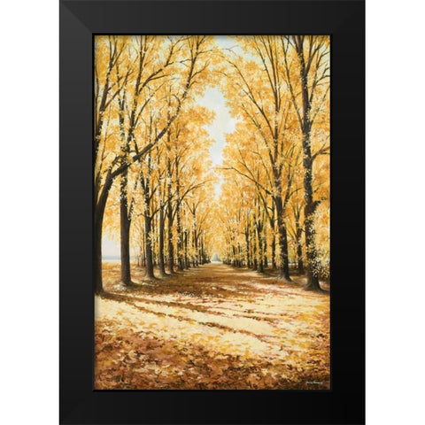 Falls Cathedral Black Modern Wood Framed Art Print by Nawrocke, Bruce
