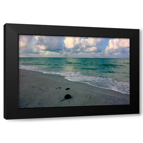 Emerald Sea Black Modern Wood Framed Art Print by Peck, Gail