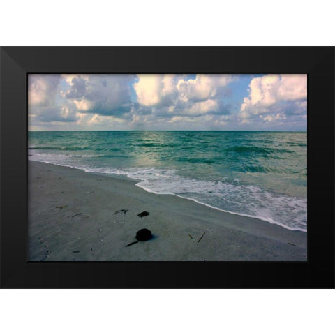 Emerald Sea Black Modern Wood Framed Art Print by Peck, Gail