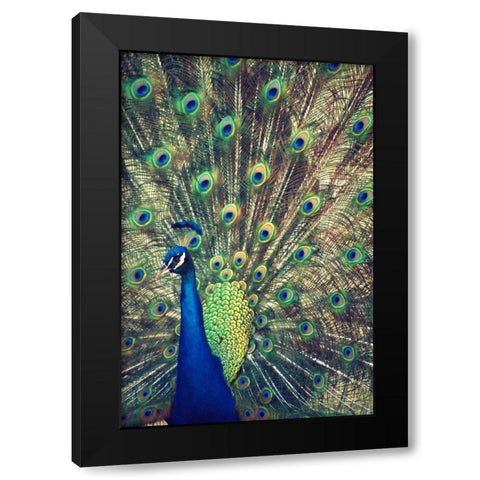 Royally Blue I Black Modern Wood Framed Art Print with Double Matting by Peck, Gail