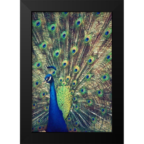 Royally Blue I Black Modern Wood Framed Art Print by Peck, Gail