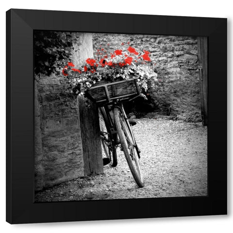 Flower Bike Square Black Modern Wood Framed Art Print by Peck, Gail