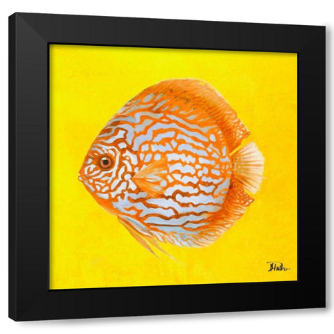 Bright Aquatic Life IV Black Modern Wood Framed Art Print with Double Matting by Pinto, Patricia