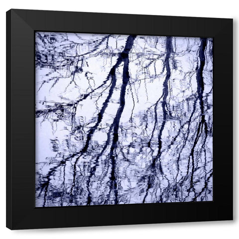 Branches on Purple Black Modern Wood Framed Art Print with Double Matting by Peck, Gail
