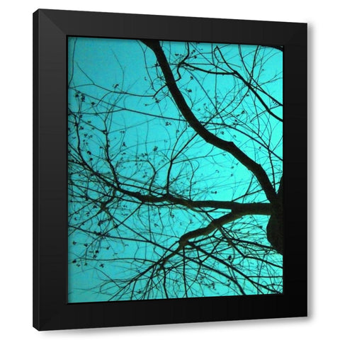 Branches on Teal I Black Modern Wood Framed Art Print by Peck, Gail