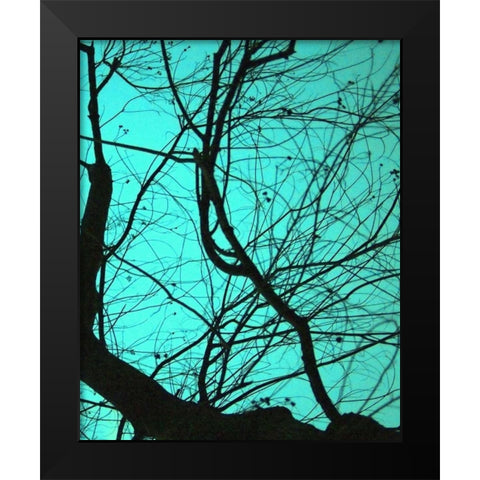 Branches on Teal II Black Modern Wood Framed Art Print by Peck, Gail
