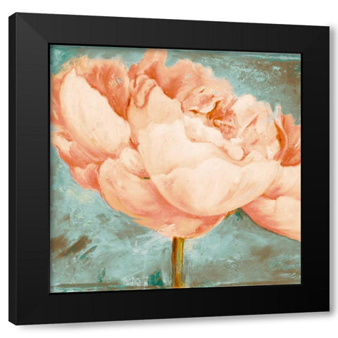 Beautiful Peonies Square II Black Modern Wood Framed Art Print by Pinto, Patricia