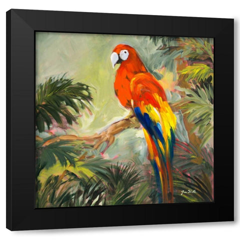 Parrots at Bay I Black Modern Wood Framed Art Print by Slivka, Jane