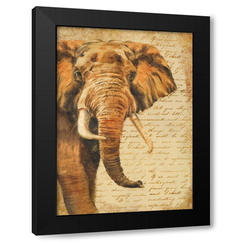 Madagascar Safari III Black Modern Wood Framed Art Print with Double Matting by Pinto, Patricia