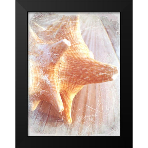 Conch II Black Modern Wood Framed Art Print by Saghini, Lisa Hill