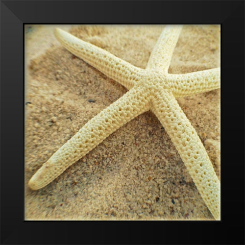 Starfish Black Modern Wood Framed Art Print by Saghini, Lisa Hill