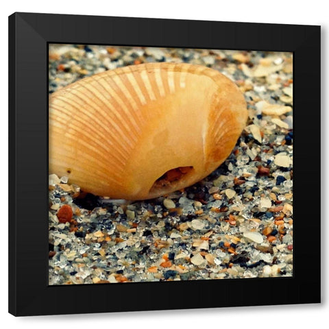 Sea Glass I Black Modern Wood Framed Art Print by Saghini, Lisa Hill