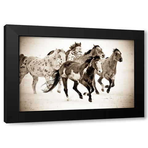 Painted Horses Run Black Modern Wood Framed Art Print by Walker, Carol
