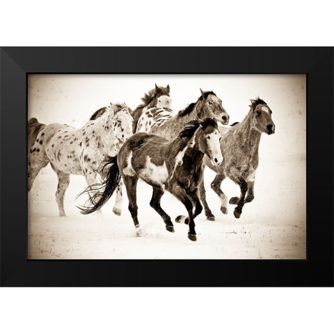 Painted Horses Run Black Modern Wood Framed Art Print by Walker, Carol
