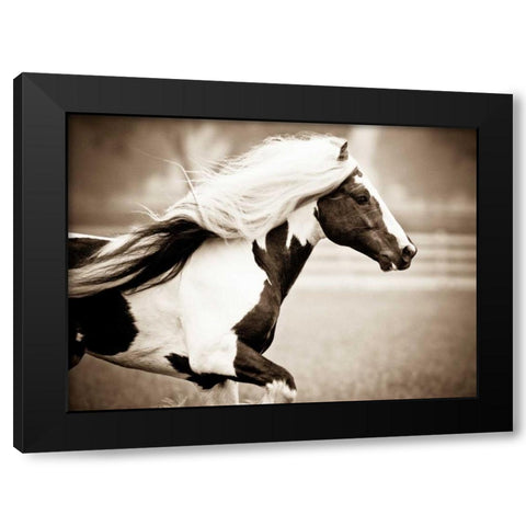 Gypsies Pride Black Modern Wood Framed Art Print by Walker, Carol